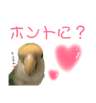 うちのモモ知りませんか？〜2（個別スタンプ：20）
