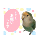 うちのモモ知りませんか？〜2（個別スタンプ：22）