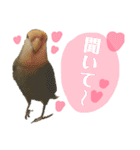うちのモモ知りませんか？〜2（個別スタンプ：24）