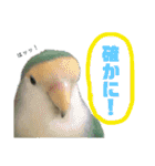 うちのモモ知りませんか？〜2（個別スタンプ：27）