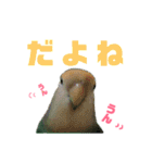 うちのモモ知りませんか？〜2（個別スタンプ：29）