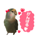 うちのモモ知りませんか？〜2（個別スタンプ：30）