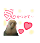 うちのモモ知りませんか？〜2（個別スタンプ：33）