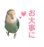 うちのモモ知りませんか？〜2（個別スタンプ：36）