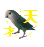うちのモモ知りませんか？〜2（個別スタンプ：37）