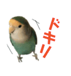 うちのモモ知りませんか？〜2（個別スタンプ：39）