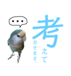 うちのモモ知りませんか？〜2（個別スタンプ：40）