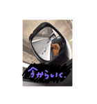 わんころ生活（個別スタンプ：15）