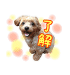 あたいの家族3（個別スタンプ：2）