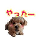 あたいの家族3（個別スタンプ：3）