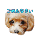 あたいの家族3（個別スタンプ：4）