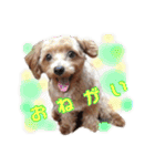 あたいの家族3（個別スタンプ：7）