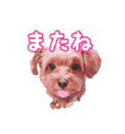 あたいの家族3（個別スタンプ：8）