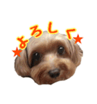 あたいの家族3（個別スタンプ：11）