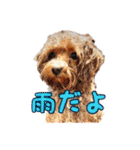 あたいの家族3（個別スタンプ：14）