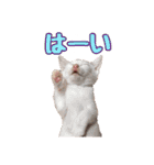 あたいの家族3（個別スタンプ：17）