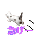 あたいの家族3（個別スタンプ：20）