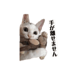 あたいの家族3（個別スタンプ：23）