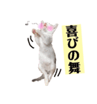 あたいの家族3（個別スタンプ：27）