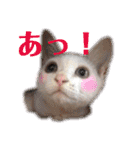 あたいの家族3（個別スタンプ：28）