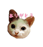 あたいの家族3（個別スタンプ：32）