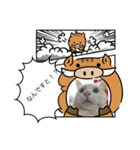 6匹のにゃんず（個別スタンプ：2）