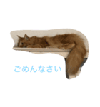 6匹のにゃんず（個別スタンプ：5）