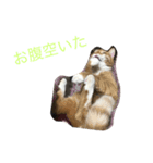 6匹のにゃんず（個別スタンプ：8）