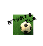 トイプードルのしょうきち（個別スタンプ：16）