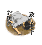 武術・アクションな日常（個別スタンプ：2）