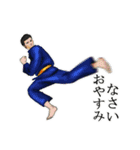 武術・アクションな日常（個別スタンプ：12）