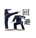 武術・アクションな日常（個別スタンプ：36）
