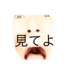 カトリーヌ斎藤No. 1（個別スタンプ：2）