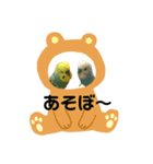 インコのりりちゃんスタンプ（個別スタンプ：7）