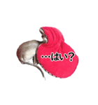 イタグレの日常会話スタンプ Ver.1（個別スタンプ：9）