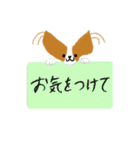 手書き パピヨン 敬語スタンプ（個別スタンプ：10）