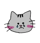 猫のシュシュちゃん（個別スタンプ：12）