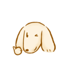 ゆるきゃわわんこ2（個別スタンプ：1）