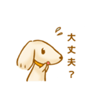 ゆるきゃわわんこ2（個別スタンプ：4）