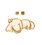 ゆるきゃわわんこ2（個別スタンプ：5）