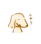 ゆるきゃわわんこ2（個別スタンプ：8）