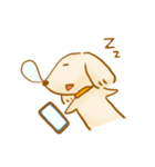 ゆるきゃわわんこ2（個別スタンプ：12）