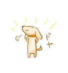 ゆるきゃわわんこ2（個別スタンプ：29）