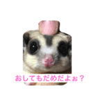 桃太郎の日常       フクロモモンガ（個別スタンプ：14）