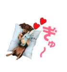chef and cookie 2（個別スタンプ：11）