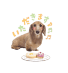 ぼくはとろ★（個別スタンプ：4）