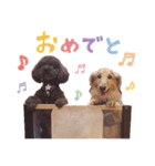 ぼくはとろ★（個別スタンプ：7）
