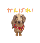 ぼくはとろ★（個別スタンプ：8）