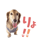 ぼくはとろ★（個別スタンプ：9）