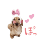 ぼくはとろ★（個別スタンプ：14）
